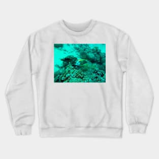 coral reef with fish Crewneck Sweatshirt